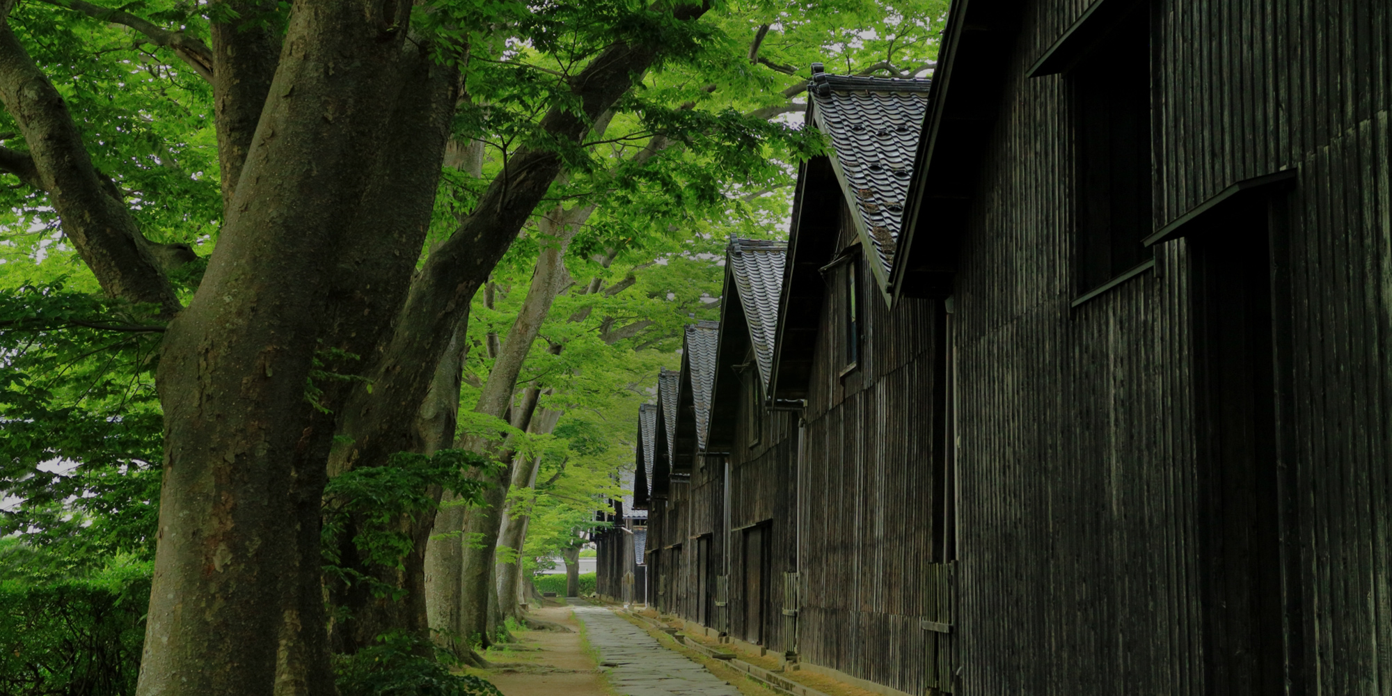 エーマックス株式会社